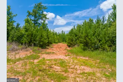 21.4 Acres Cochran Road, Madison, GA 30650 - Photo 11