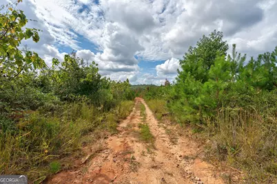 0 Old Salem Road #TRACT 4, Watkinsville, GA 30677 - Photo 7