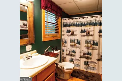 1504 Millenium Drive, Young Harris, GA 30582 - Photo 9