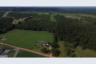 247 Darrell Thompson Road, Lyons, GA 30436 - Photo 29