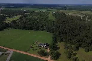 247 Darrell Thompson Rd, Lyons, GA 30436 - Photo 29