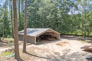 464 Old Carrollton Rd, Newnan, GA 30263 - Photo 3