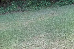255 Helen Ln, Stockbridge, GA 30281 - Photo 29