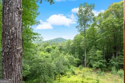 98 Aries Lane, Blue Ridge, GA 30513 - Photo 31