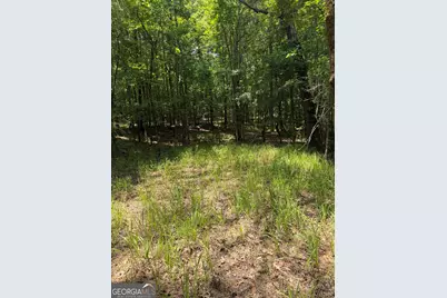 0 Pleasant Valley Road, Thomaston, GA 30286 - Photo 11
