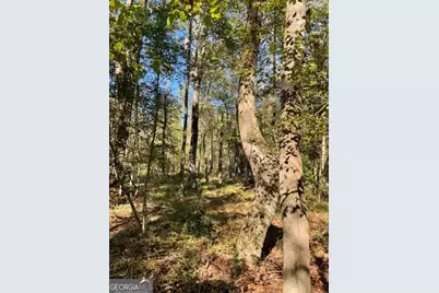 0 Highway 36 E, Jackson, GA 30233 - Photo 3