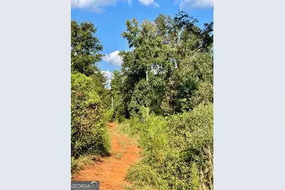 0 Highway 36 E, Jackson, GA 30233 - Photo 9