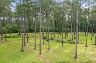 138 Posey Dr, Gray, GA 31032 - Photo 77