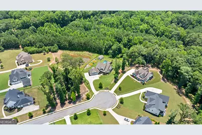 245 Brayden Drive, Tyrone, GA 30290 - Photo 113