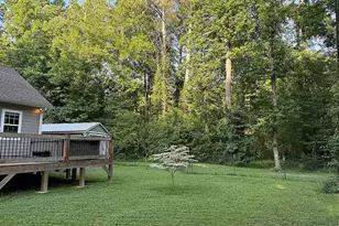 52 Hickory Ridge Dr, Ellijay, GA 30536 - Photo 43