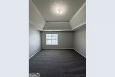 10744 Misty Meadows Court, Hampton, GA 30228 - Photo 17