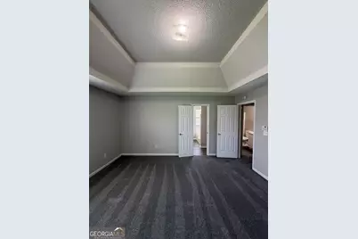 10744 Misty Meadows Court, Hampton, GA 30228 - Photo 19