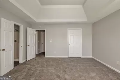 10744 Misty Meadows Court, Hampton, GA 30228 - Photo 19