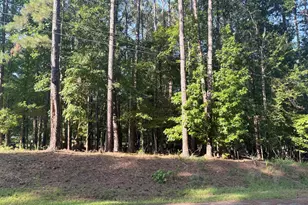 108 Rock Lake Ct, Eatonton, GA 31024 - Photo 3