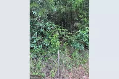 440 W Williamson Road, Williamson, GA 30292 - Photo 5