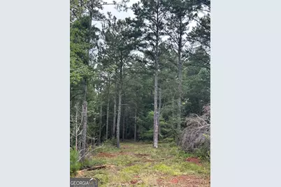 440 W Williamson Road, Williamson, GA 30292 - Photo 7