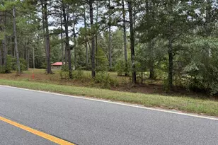 0 Buttermilk Rd, Millen, GA 30442 - Photo 5
