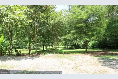 12216 Edgewater Drive, Hampton, GA 30228 - Photo 7