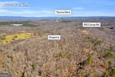 0 Gladston Drive, Mount Airy, GA 30563 - Photo 35