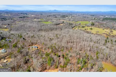 0 Gladston Drive, Mount Airy, GA 30563 - Photo 19