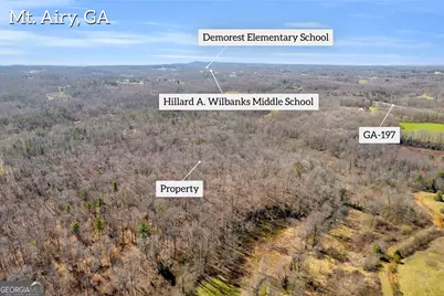 0 Gladston Drive, Mount Airy, GA 30563 - Photo 33