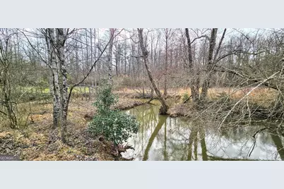 0 Gladston Drive, Mount Airy, GA 30563 - Photo 21