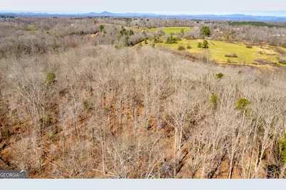 0 Gladston Drive, Mount Airy, GA 30563 - Photo 23