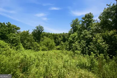 0 Gladston Drive, Mount Airy, GA 30563 - Photo 11