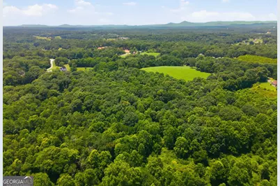 0 Gladston Drive, Mount Airy, GA 30563 - Photo 47