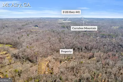 0 Gladston Drive, Mount Airy, GA 30563 - Photo 31
