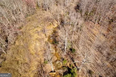 0 Gladston Drive, Mount Airy, GA 30563 - Photo 25