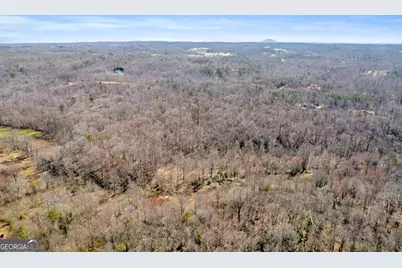 0 Gladston Drive, Mount Airy, GA 30563 - Photo 29
