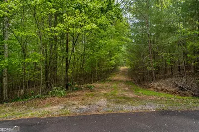 Lot 3-4 Scouts Overlook Lane, Morganton, GA 30560 - Photo 29