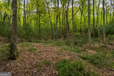 Lot 3-4 Scouts Overlook Lane, Morganton, GA 30560 - Photo 39