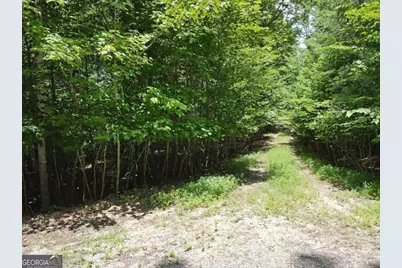 Lot 3-4 Scouts Overlook Lane, Morganton, GA 30560 - Photo 23