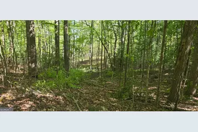 Lot 3-4 Scouts Overlook Lane, Morganton, GA 30560 - Photo 3