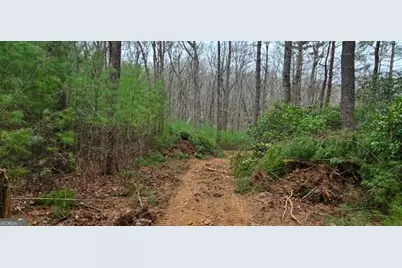 Lot 3-4 Scouts Overlook Lane, Morganton, GA 30560 - Photo 13