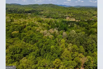 Lot 3-4 Scouts Overlook Lane, Morganton, GA 30560 - Photo 45