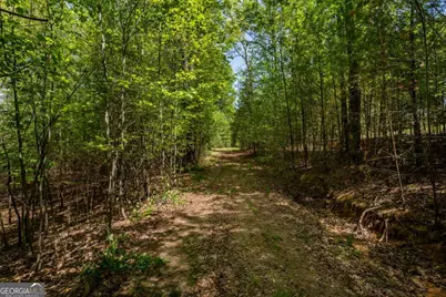 Lot 3-4 Scouts Overlook Lane, Morganton, GA 30560 - Photo 37