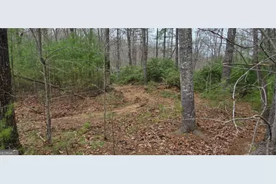 Lot 3-4 Scouts Overlook Lane, Morganton, GA 30560 - Photo 9