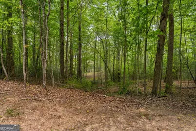 Lot 3-4 Scouts Overlook Lane, Morganton, GA 30560 - Photo 41