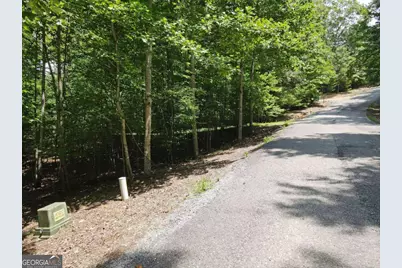 Lot 3-4 Scouts Overlook Lane, Morganton, GA 30560 - Photo 21