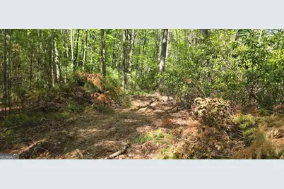 Lot 3-4 Scouts Overlook Lane, Morganton, GA 30560 - Photo 27