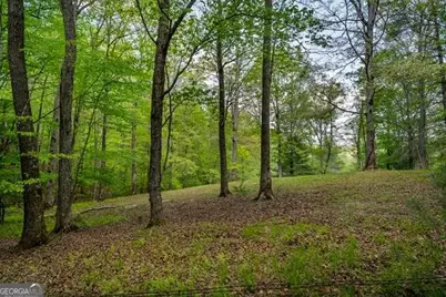 Lot 3-4 Scouts Overlook Lane, Morganton, GA 30560 - Photo 1