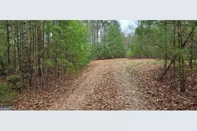 Lot 3-4 Scouts Overlook Lane, Morganton, GA 30560 - Photo 7