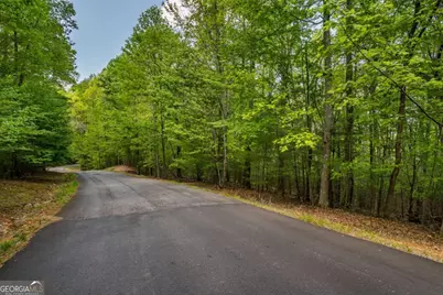 Lot 3-4 Scouts Overlook Lane, Morganton, GA 30560 - Photo 43
