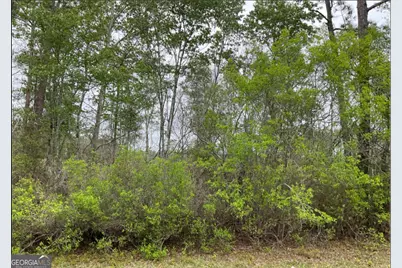 0 1601Ac #TRACT 4, Townsend, GA 31331 - Photo 1
