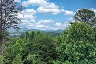 2368 Haven Heights Rd, Hiawassee, GA 30546 - Photo 75