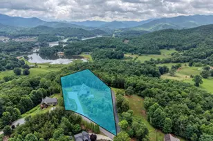2368 Haven Heights Rd, Hiawassee, GA 30546 - Photo 67