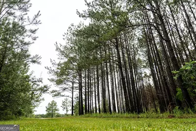 990 Ga Hwy 49 S, Americus, GA 31719 - Photo 27